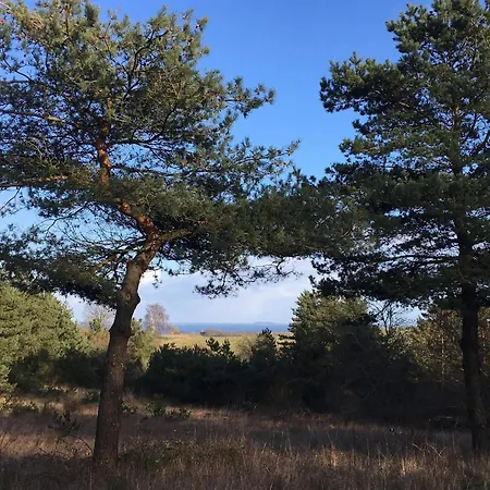 4 Star In Knebel Ørby